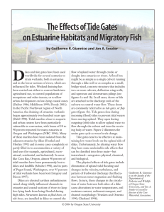 D The Effects of Tide Gates on Estuarine Habitats and Migratory Fish
