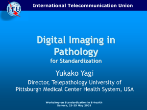 Digital Imaging in Pathology Yukako Yagi for Standardization