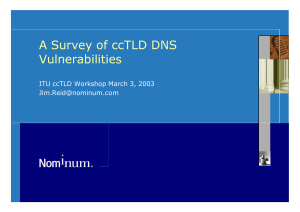 A Survey of ccTLD DNS Vulnerabilities ITU ccTLD Workshop March 3, 2003