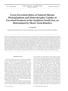 Gross Excretion Rates Natural Marine Phytoplankton and Heterotrophic Uptake of
