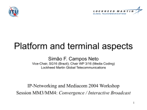 Platform and terminal aspects