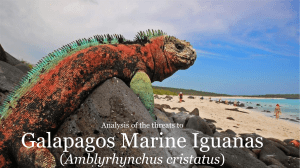 Galapagos Marine Iguanas Amblyrhynchus cristatus Analysis of the threats to
