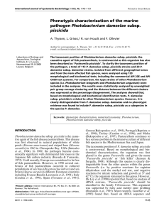 Phenotypic characterization of the marine Photobacterium damselae piscicida