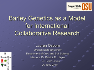 Barley Genetics as a Model for International Collaborative Research Lauren Osborn