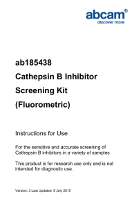 ab185438 Cathepsin B Inhibitor Screening Kit (Fluorometric)