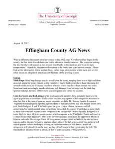 Effingham County AG News