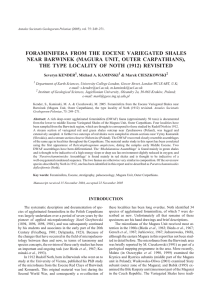 FORAMINIFERA FROM THE EOCENE VARIEGATED SHALES