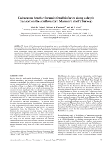 Calcareous benthic foraminiferal biofacies along a depth