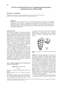The New and Reinstated Genera of Agglutinated Foraminifera MICHAEL A. KAMINSKI