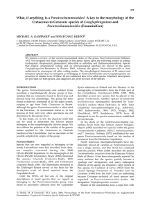 Paratrochamminoides Conglophragmium MICHAEL A. KAMINSKI and WOLFGANG KUHNT