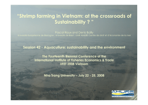 “Shrimp farming in Vietnam: at the crossroads of Sustainability ? ”