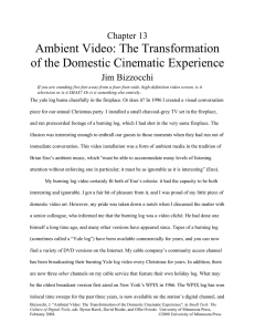 Ambient Video: The Transformation of the Domestic Cinematic Experience Chapter 13 Jim Bizzocchi