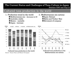 Cultured tuna production in the world Production trend in the world