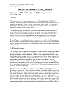 Tracking the diffusion of GABA receptors Abstract