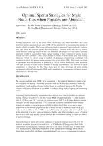 Optimal Sperm Strategies for Male Butterflies when Females are Abundant