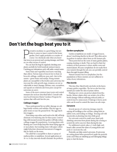 P Don’t let the bugs beat you to it