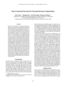 Deep Contextual Networks for Neuronal Structure Segmentation Hao Chen , Xiaojuan Qi