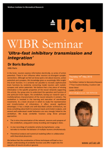 WIBR Seminar  'Ultra-fast inhibitory transmission and integration’