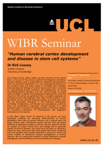WIBR Seminar  “Human cerebral cortex development and disease in stem cell systems”