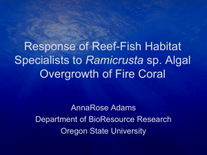 Response of Reef-Fish Habitat Ramicrusta Overgrowth of Fire Coral