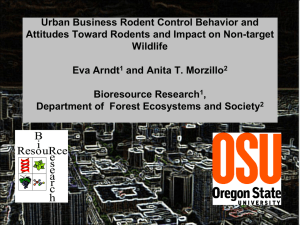 Urban Business Rodent Control Behavior and Wildlife Eva Arndt