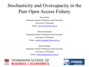 Stochasticity and Overcapacity in the Pure Open Access Fishery