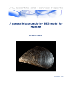 A general bioaccumulation DEB model for mussels  José-Manuel Zaldívar