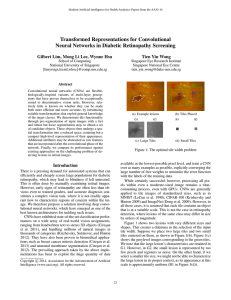 Transformed Representations for Convolutional Neural Networks in Diabetic Retinopathy Screening