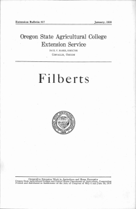 Filberts Oregon State Agricultural College Extension Service Extension Bulletin 417