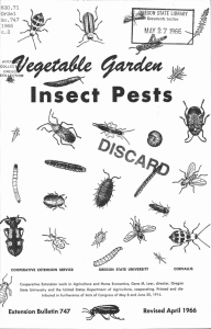Insect Pests c.3 630.71