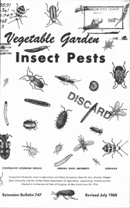 Insect Pests ,-a4=34' 41t;