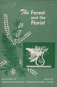 74 Florist Forest and the