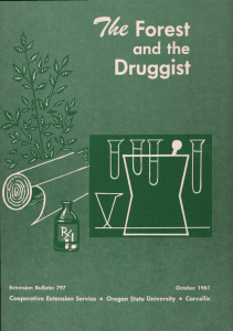 74 Druggist Forest and the
