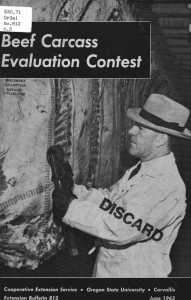 Evaluation Contest Beef Carcass 64904.9, c 3