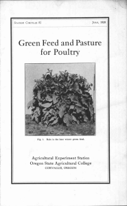 for Poultry Green Feed and Pasture Agricultural Experiment Station Oregon State Agricultural College