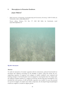 5. Macrophytes in Estuarine Gradients Jasper Dijkstra