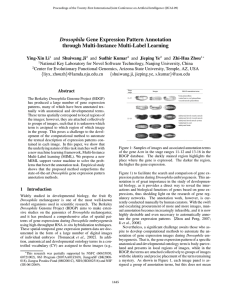 Drosophila Gene Expression Pattern Annotation through Multi-Instance Multi-Label Learning