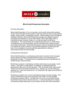 MicroCredit Enterprises Descriptor