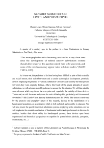 SENSORY SUBSTITUTION: LIMITS AND PERSPECTIVES