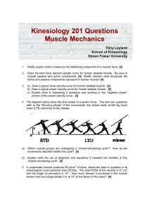 Kinesiology 201 Questions Muscle Mechanics Tony Leyland School of Kinesiology