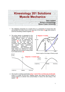 Kinesiology 201 Solutions Muscle Mechanics Tony Leyland School of Kinesiology