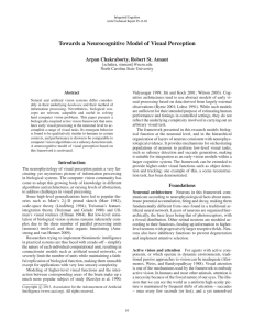 Towards a Neurocognitive Model of Visual Perception
