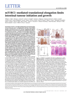 LETTER mTORC1-mediated translational elongation limits intestinal tumour initiation and growth