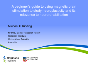 A beginner’s guide to using magnetic brain relevance to neurorehabilitation