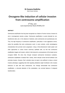 Oncogene-like induction of cellular invasion from centrosome amplification  Dr Susana Godinho