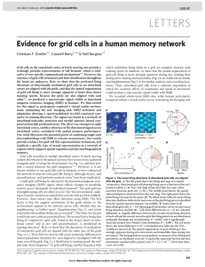 LETTERS Evidence for grid cells in a human memory network