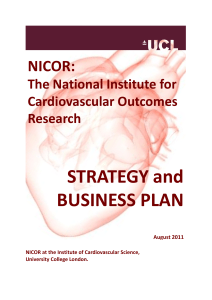 STRATEGY and BUSINESS PLAN NICOR: The National Institute for