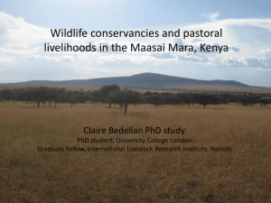 Wildlife conservancies and pastoral livelihoods in the Maasai Mara, Kenya