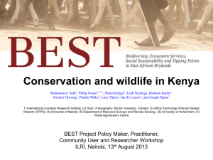Conservation and wildlife in Kenya