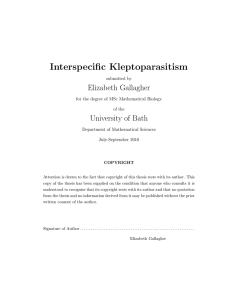 Interspecific Kleptoparasitism Elizabeth Gallagher University of Bath